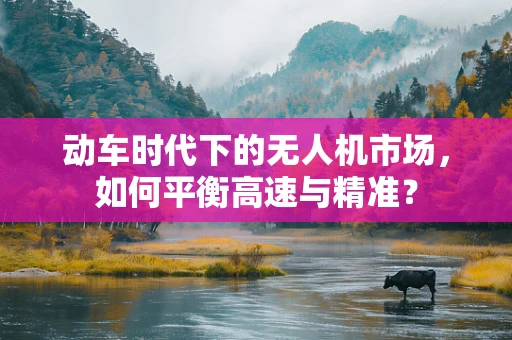 动车时代下的无人机市场，如何平衡高速与精准？