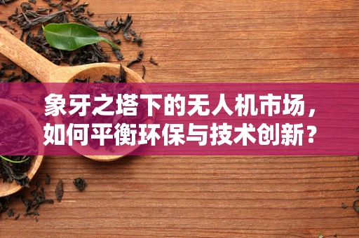 象牙之塔下的无人机市场，如何平衡环保与技术创新？