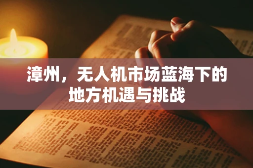 漳州，无人机市场蓝海下的地方机遇与挑战