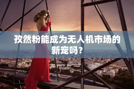 孜然粉能成为无人机市场的新宠吗？