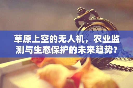 草原上空的无人机，农业监测与生态保护的未来趋势？