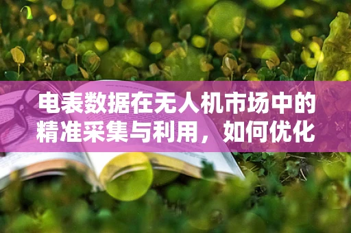 电表数据在无人机市场中的精准采集与利用，如何优化成本与效率？