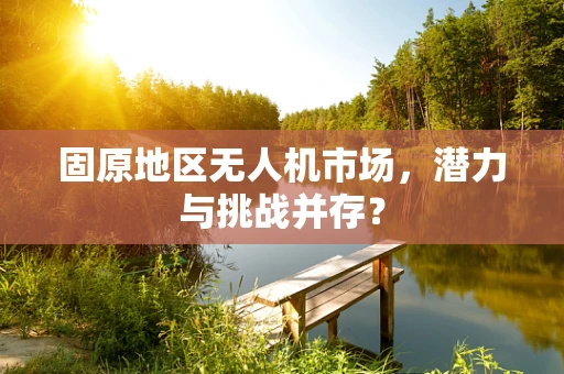 固原地区无人机市场，潜力与挑战并存？