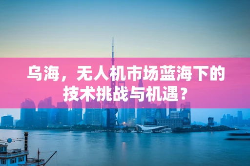 乌海，无人机市场蓝海下的技术挑战与机遇？