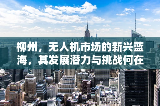 柳州，无人机市场的新兴蓝海，其发展潜力与挑战何在？