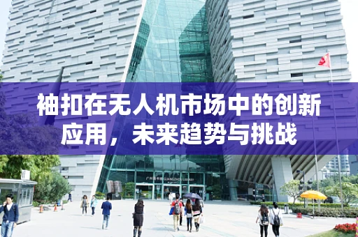 袖扣在无人机市场中的创新应用，未来趋势与挑战