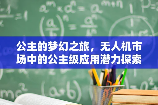 公主的梦幻之旅，无人机市场中的公主级应用潜力探索