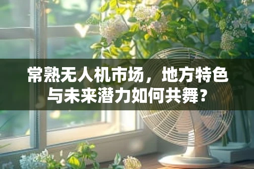 常熟无人机市场，地方特色与未来潜力如何共舞？