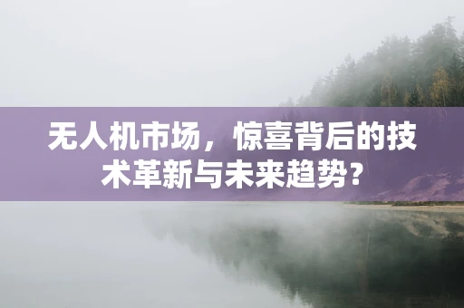 无人机市场，惊喜背后的技术革新与未来趋势？