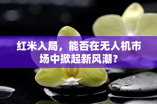 红米入局，能否在无人机市场中掀起新风潮？