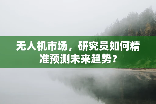 无人机市场，研究员如何精准预测未来趋势？