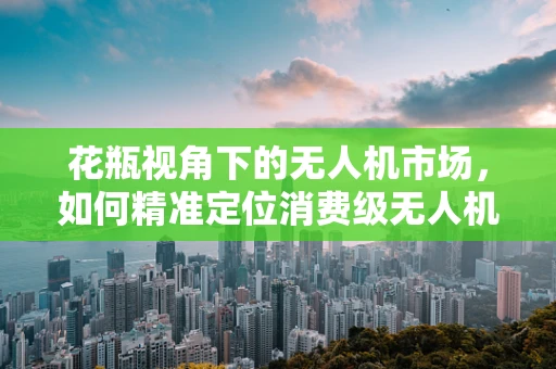 花瓶视角下的无人机市场，如何精准定位消费级无人机市场？