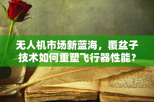 无人机市场新蓝海，覆盆子技术如何重塑飞行器性能？