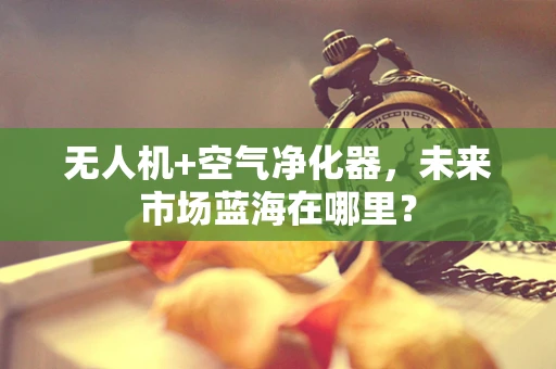 无人机+空气净化器，未来市场蓝海在哪里？