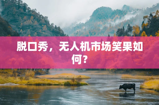 脱口秀，无人机市场笑果如何？