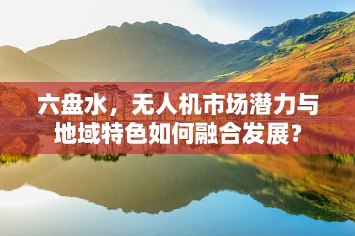 六盘水，无人机市场潜力与地域特色如何融合发展？