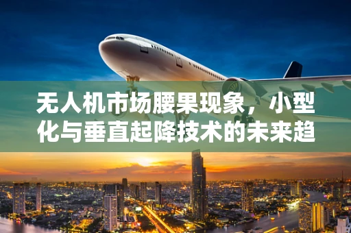 无人机市场腰果现象，小型化与垂直起降技术的未来趋势？