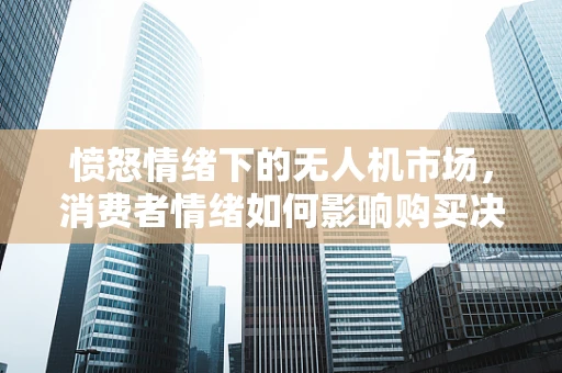 愤怒情绪下的无人机市场，消费者情绪如何影响购买决策？
