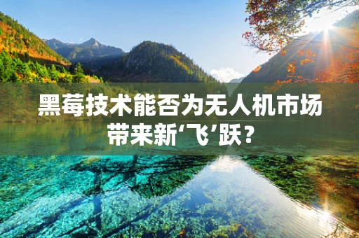黑莓技术能否为无人机市场带来新‘飞’跃？
