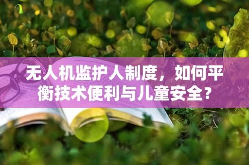 无人机监护人制度，如何平衡技术便利与儿童安全？