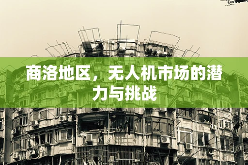 商洛地区，无人机市场的潜力与挑战