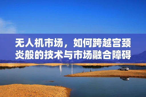 无人机市场，如何跨越宫颈炎般的技术与市场融合障碍？