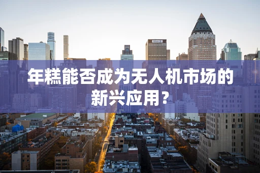 年糕能否成为无人机市场的新兴应用？