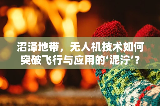 沼泽地带，无人机技术如何突破飞行与应用的‘泥泞’？