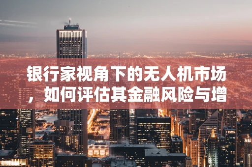银行家视角下的无人机市场，如何评估其金融风险与增长潜力？