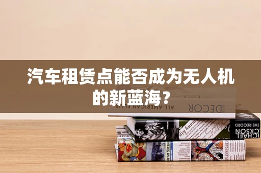 汽车租赁点能否成为无人机的新蓝海？