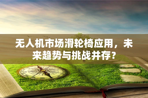 无人机市场滑轮椅应用，未来趋势与挑战并存？