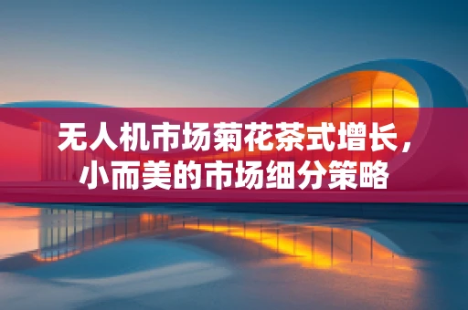 无人机市场菊花茶式增长，小而美的市场细分策略