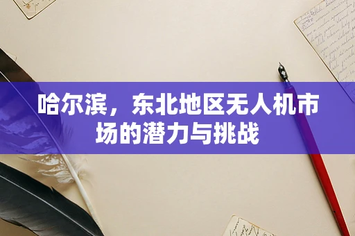 哈尔滨，东北地区无人机市场的潜力与挑战