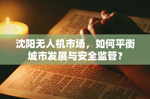 沈阳无人机市场，如何平衡城市发展与安全监管？