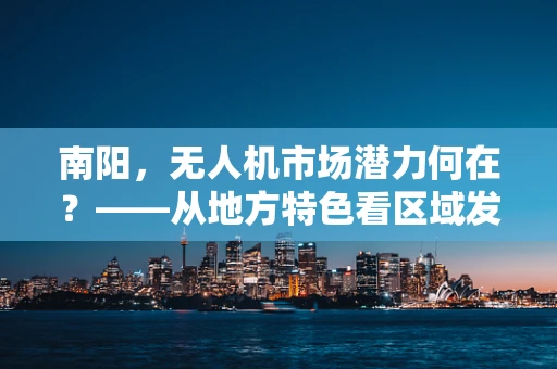 南阳，无人机市场潜力何在？——从地方特色看区域发展新机遇