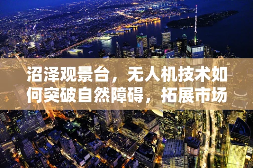 沼泽观景台，无人机技术如何突破自然障碍，拓展市场新蓝海？