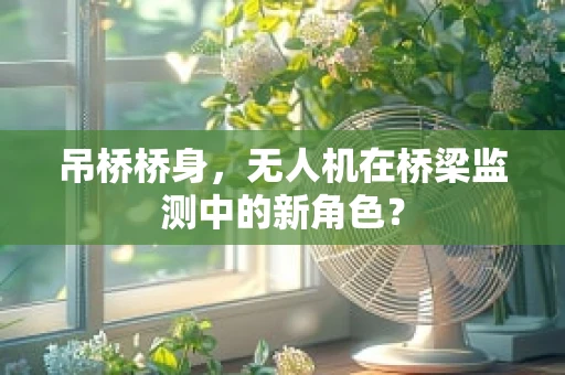 吊桥桥身，无人机在桥梁监测中的新角色？