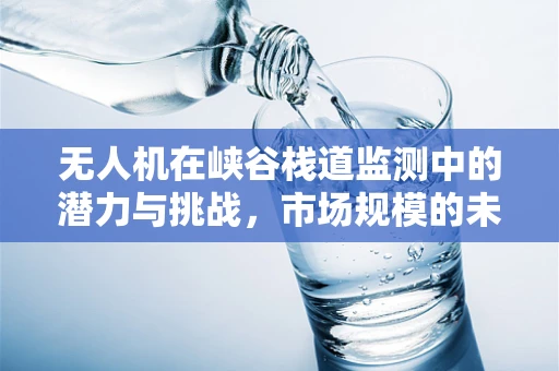无人机在峡谷栈道监测中的潜力与挑战，市场规模的未来展望