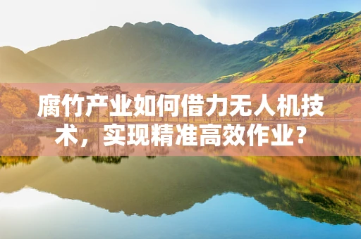 腐竹产业如何借力无人机技术，实现精准高效作业？
