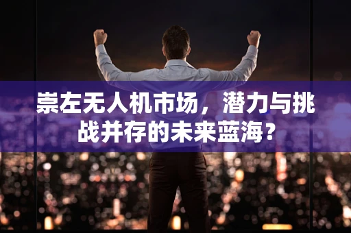 崇左无人机市场，潜力与挑战并存的未来蓝海？