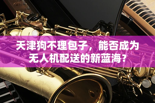 天津狗不理包子，能否成为无人机配送的新蓝海？