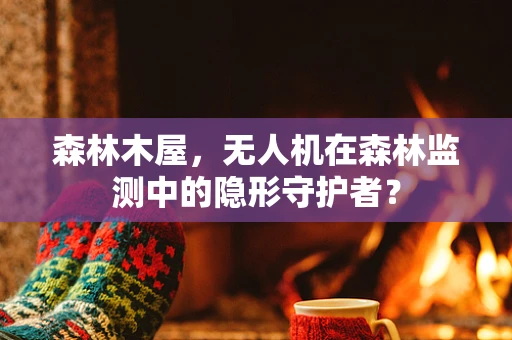 森林木屋，无人机在森林监测中的隐形守护者？