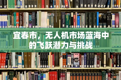 宜春市，无人机市场蓝海中的飞跃潜力与挑战