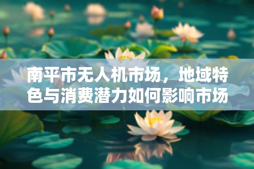 南平市无人机市场，地域特色与消费潜力如何影响市场规模？