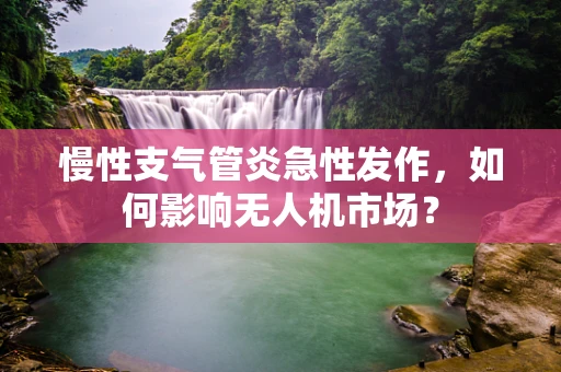 慢性支气管炎急性发作，如何影响无人机市场？