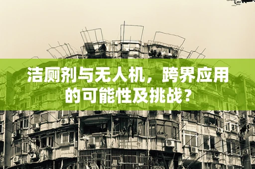 洁厕剂与无人机，跨界应用的可能性及挑战？