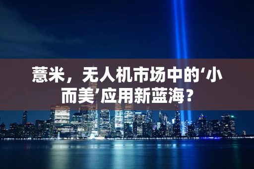 薏米，无人机市场中的‘小而美’应用新蓝海？