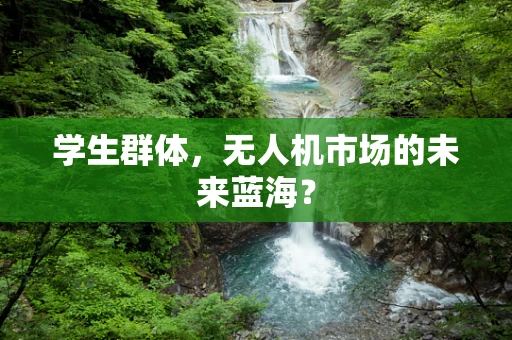 学生群体，无人机市场的未来蓝海？