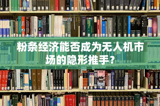 粉条经济能否成为无人机市场的隐形推手？