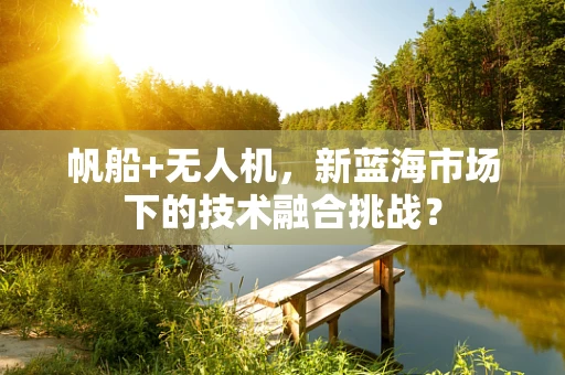 帆船+无人机，新蓝海市场下的技术融合挑战？